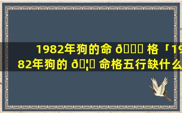 1982年狗的命 🐒 格「1982年狗的 🦈 命格五行缺什么」